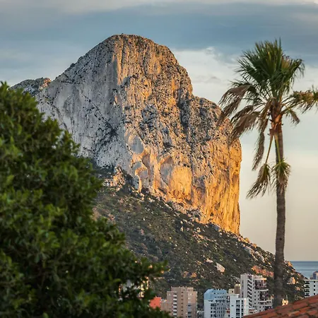 Esplendida By Abahana Ifach